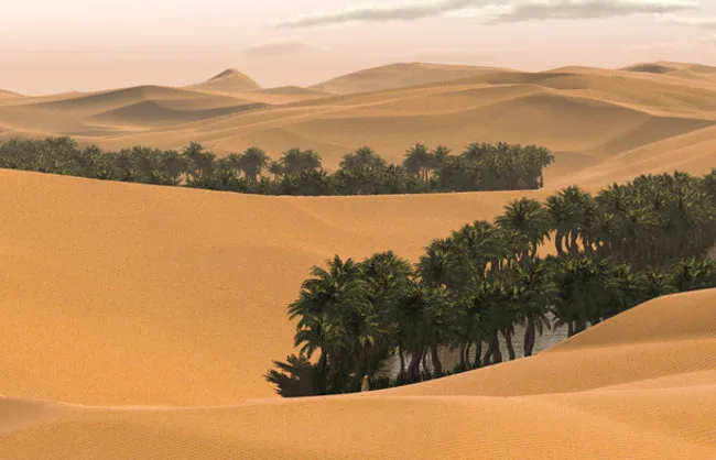 Saudi Arabia là vùng đất không hề có sông