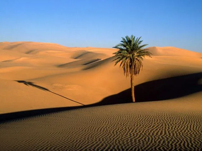 99% diện tích Libya là sa mạc thậm chí một số vùng ở Libya chưa từng mưa trong suốt nhiều thập niên qua.